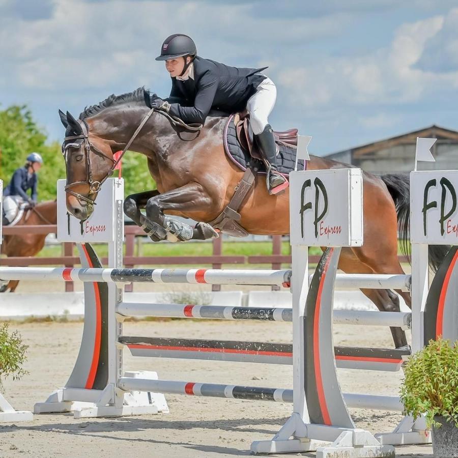 Gite Ecuries Vineuil Jump 6 Personnes المظهر الخارجي الصورة